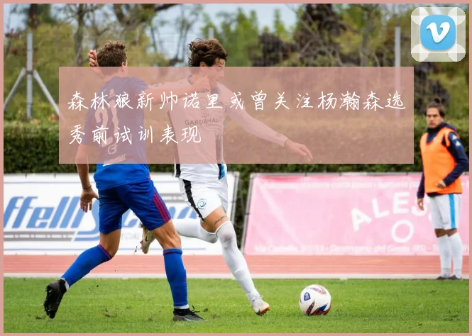 森林狼新帅诺里或曾关注杨瀚森选秀前试训表现